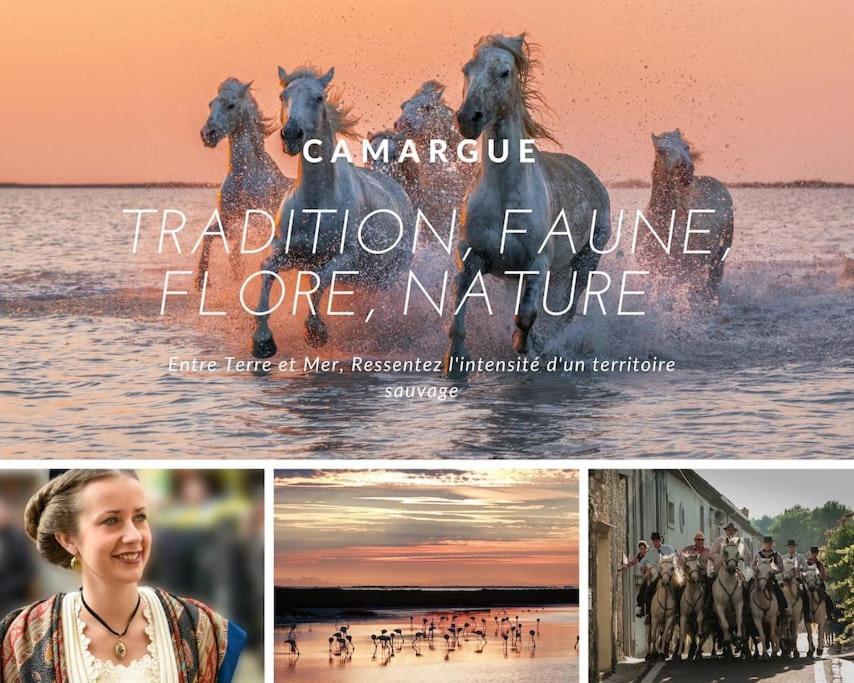 Le Nautilus Proche Plage Clim Parking Prive Wifi Proche Montpellier Carnon-Plage Exterior foto